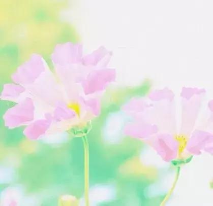 早安心语心情说说 早安心语心情说说