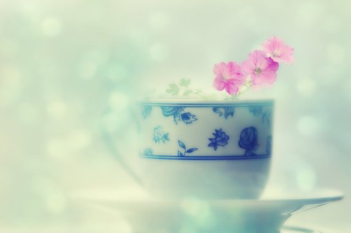 小清新图片说说大全