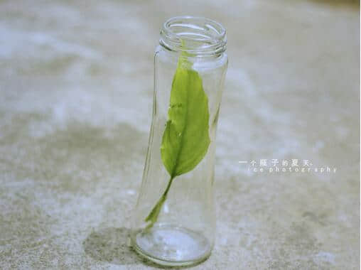 智慧与行动，缺一不可