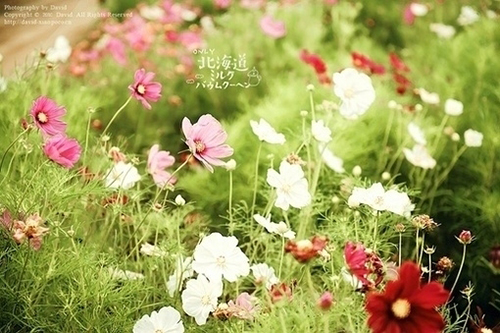 关于雨天的伤感句子