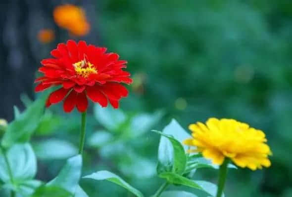 美丽，是外在的华丽还是内在的光芒？