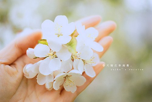 表达心情忧伤的句子 表达心情忧伤的句子