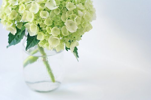 朋友圈里的幽默金句
