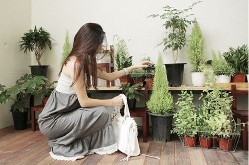恋爱中人宛如智障,失恋的人们却像极了诗人 恋爱中人宛如智障,失恋的人们却像极了诗人