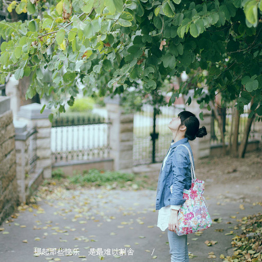沉默的语句 慢慢的,我们用沉默代替了所有的言语 沉默的语句 慢慢的,我们用沉默代替了所有的言语