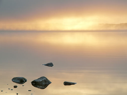 人生智慧语录集锦 人生智慧语录集锦