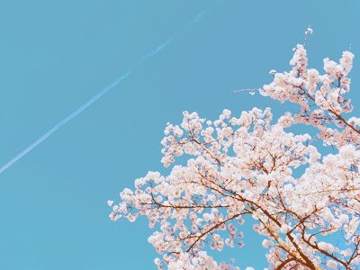 心情短语配图7