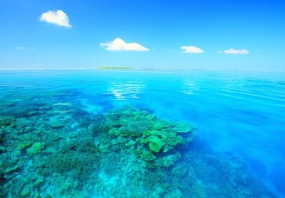 情感淡然带图说说6