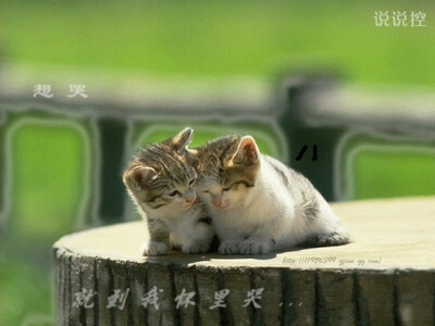 男生说说带图片5 男生说说带图片5