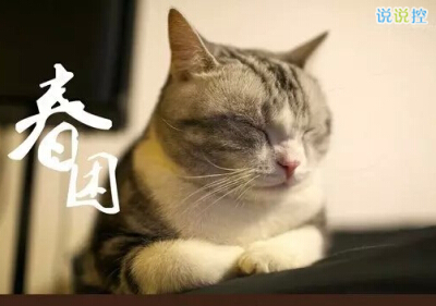 个性说说带图片4 个性说说带图片4