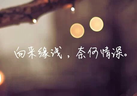 情感语录6