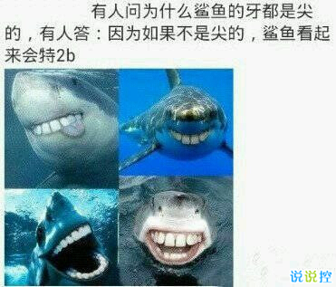 一句话搞笑语录 一句话搞笑语录