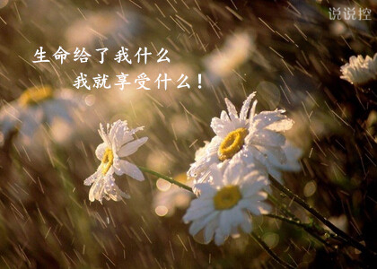 励志语录配图5