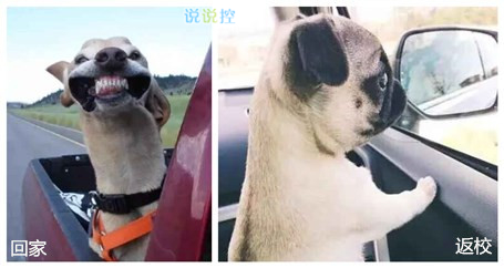 趣味图文2