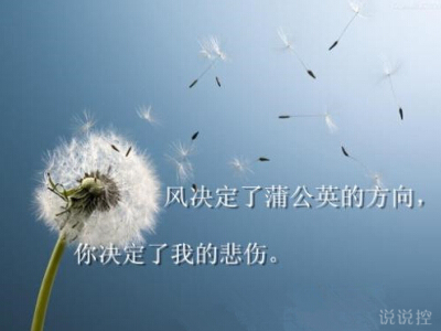 情绪引导图片2 情绪引导图片2