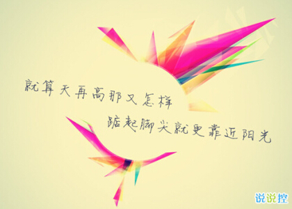 仰望光明图片7