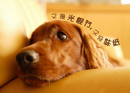 光棍节说说带图片,光棍节图片说说大全2 光棍节说说带图片,光棍节图片说说大全2