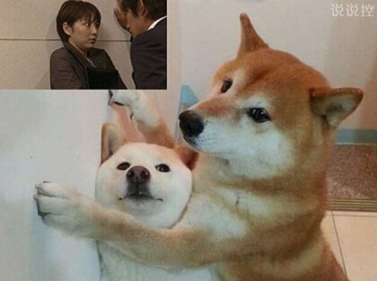 搞笑图文3 搞笑图文3