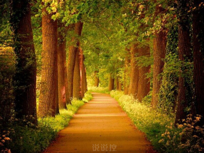 恰到好处图片 恰到好处图片