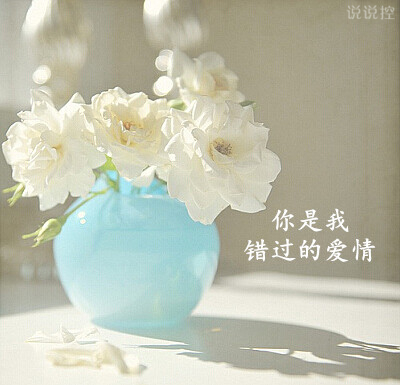 爱情语录带图片7