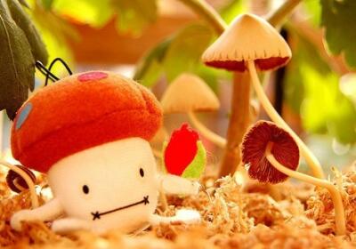 趣味横生的幽默段子