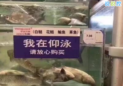 QQ搞笑说说带图片,空间搞笑说说带图片6 QQ搞笑说说带图片,空间搞笑说说带图片6