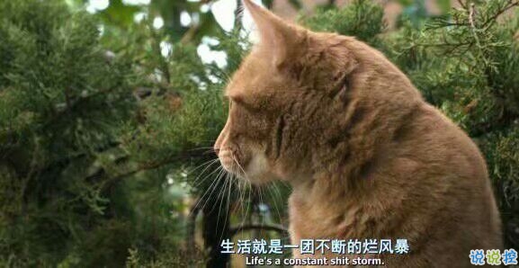 生活犹如不断的风暴漩涡1
