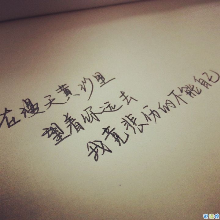 让人动容的歌词图片带字 从前从前有个人爱你很久4