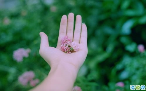 趣味满满且温馨的土味情话汇编 我是俏皮的小仙女你是俏皮的小哥哥1