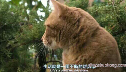 伤感说说2018心累了:遗憾吗,我们就这样莫名其妙的谁也不喜欢谁了2