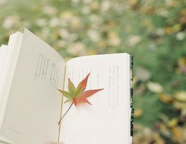 女生伤感说说:你对他念念不忘,他却在为另一个人赴汤蹈火