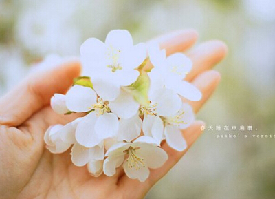 内心世界说说和图片6