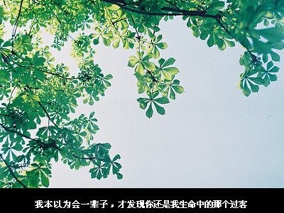 QQ心情短语带图片4