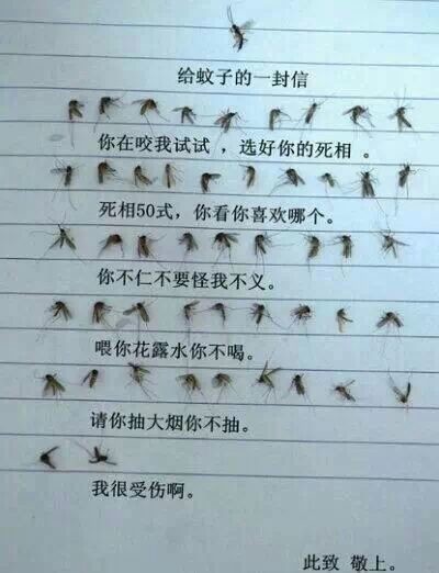 热门说说带图片7