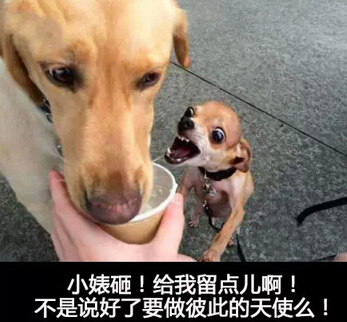 趣味段子精选2