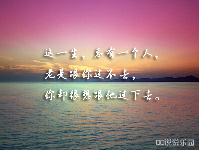 爱情感悟2 爱情感悟2