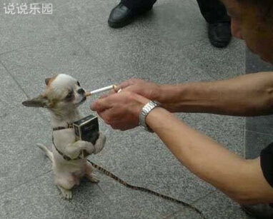 搞笑内涵的说说,QQ空间内涵说说 搞笑内涵的说说,QQ空间内涵说说