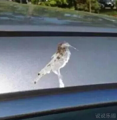 有趣的说说图片4 有趣的说说图片4