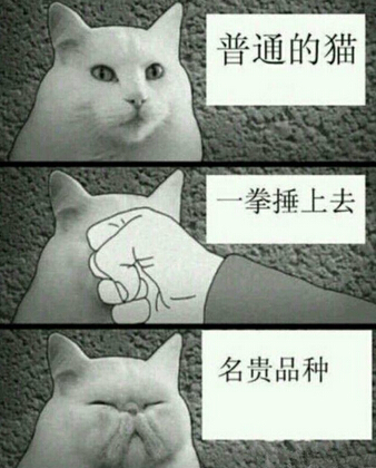 好笑的说说