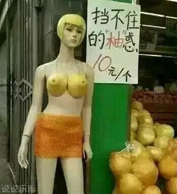 趣味日常6 趣味日常6