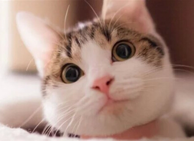 独特心情语录