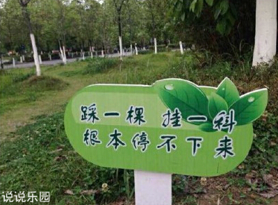 幽默讽刺，不脏不爆粗的说说集锦
