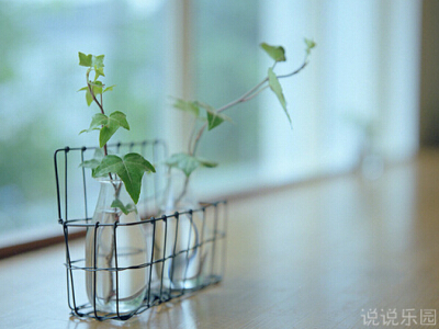 温馨的短句集锦