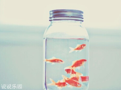 个性经典说说 个性经典说说