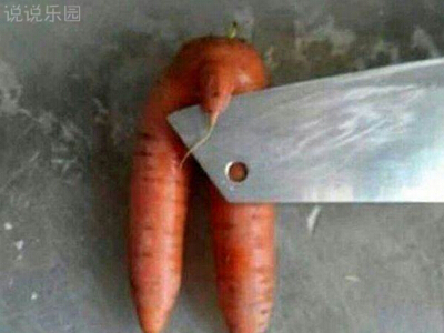 朋友圈趣味图文分享1