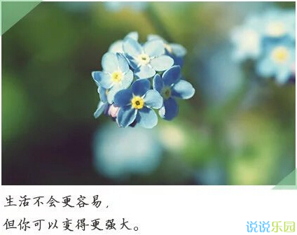 情感说说5 情感说说5