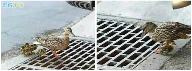 微信趣味语录 微信趣味语录