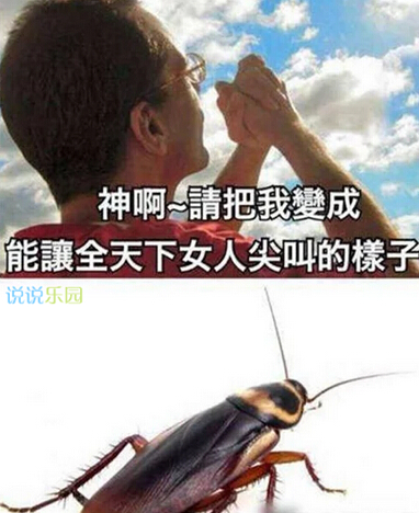 搞笑的空间说说 搞笑的空间说说