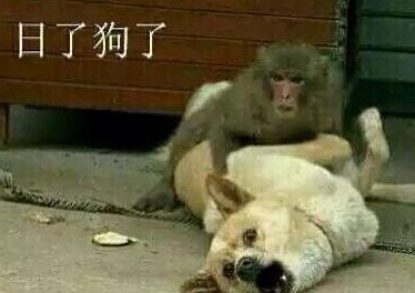 犀利吐槽集锦，网络恶搞语录精选