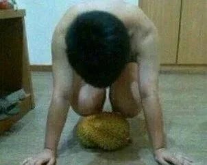 趣味语录2016
